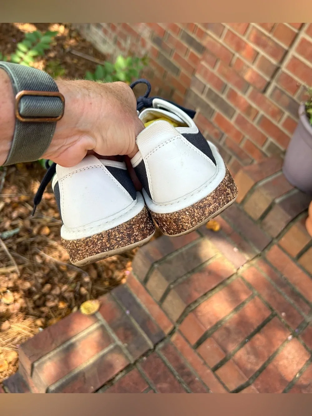 Birkenstock santa cruz
